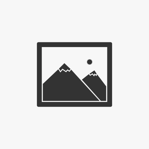 The Essential Beginner’s Guide to AI