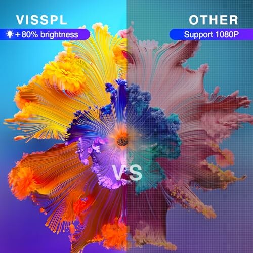 Colorful flower image comparing VISSPL with other, showing brightness and resolution differences.