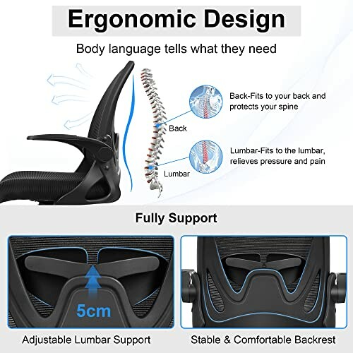 Ergonomic chair design with lumbar support and spine alignment illustration.