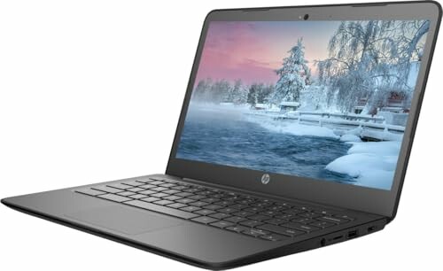 Open laptop with winter scene on screen